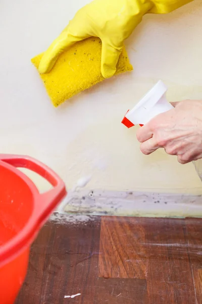 Person Applying Spraying Walls Using Antifungal Agent Fungicide Detergent Dealing — Stock Photo, Image