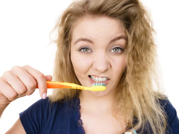 累坏脾气又困金发女人刷牙有疯狂纠缠的头发 口腔卫生概念 孤立的背景 — 图库照片