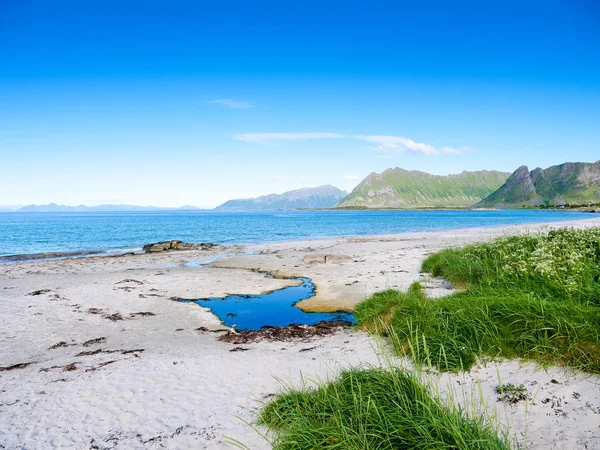 Wybrzeże Wyspy Gimsoya Gimsoysi Piaszczysta Plaża Lecie Hrabstwo Nordland Archipelag — Zdjęcie stockowe