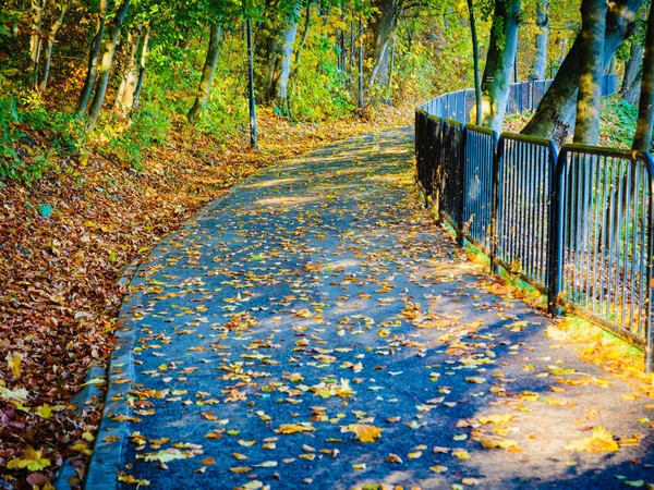 Blick Von Der Brücke Park Bei Herbstwetter Goldene Blätter Orangefarbene — Stockfoto