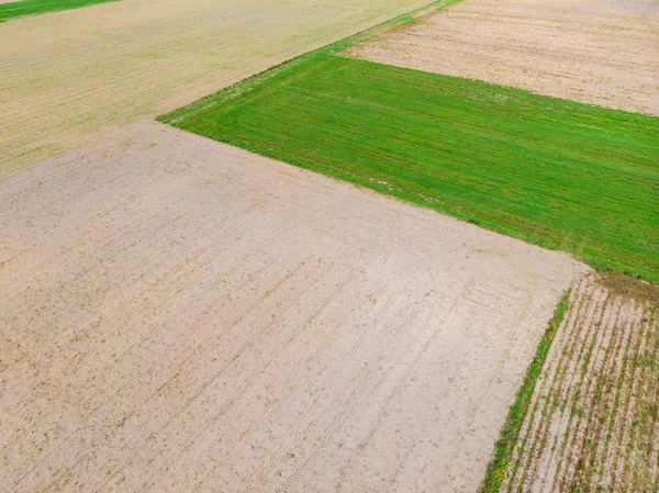 Vue Aérienne Cultures Agricoles Rangées Terre Avant Plantation Champ Labouré — Photo