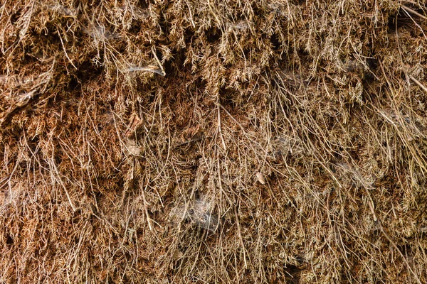 Patterns Textures Details Concept Detailed Closuep Dry Dark Hay Background — Stock Photo, Image