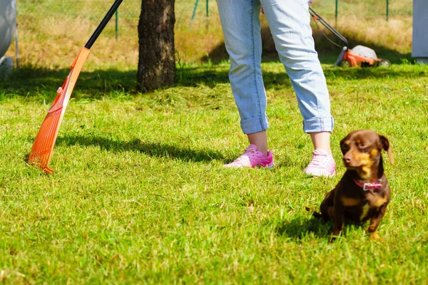 Kvinna med kratta för att städa upp trädgård gräsmatta — Stockfoto