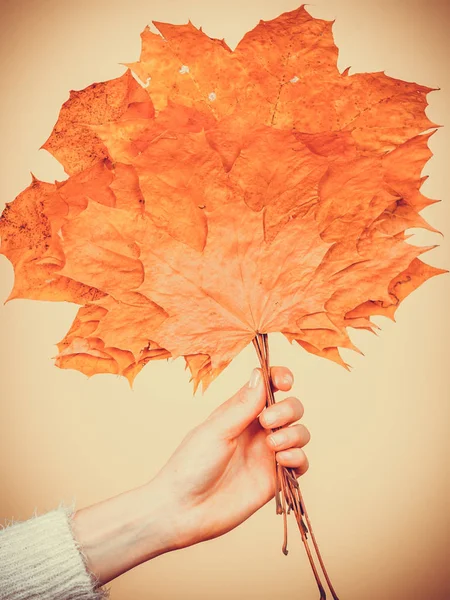 Woman holding bouquet made of autumn leaves — Stock Photo, Image