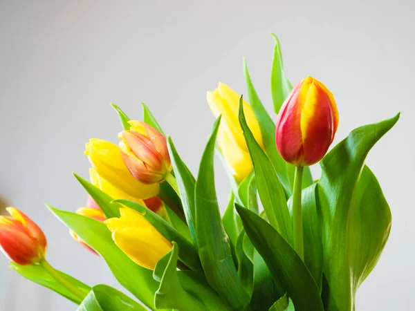 Ramo de tulipanes amarillo y naranja sobre fondo gris — Foto de Stock