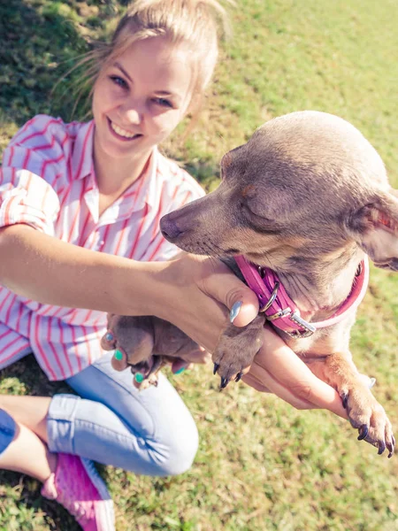 外ピンシャー ネズミを捕る犬をする女性 — ストック写真