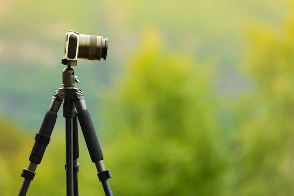 Camera in Bergen, fotografie in wildlife — Stockfoto