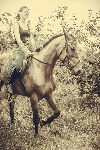 Giovane donna seduta su un cavallo — Foto Stock