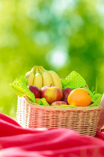 Picknickmand op deken in bos — Stockfoto