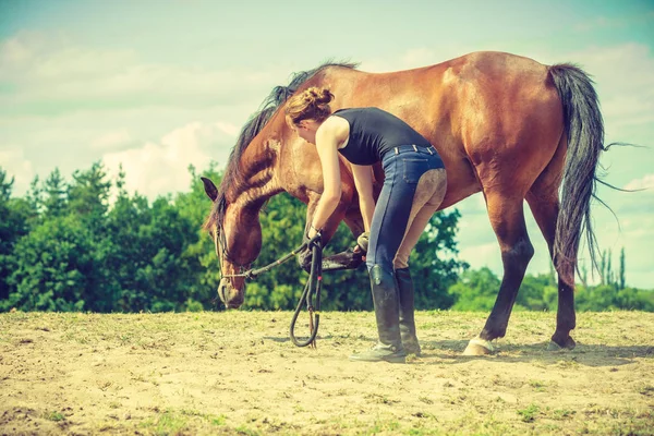 Jockey vrouw het verzorgen van het paard — Stockfoto