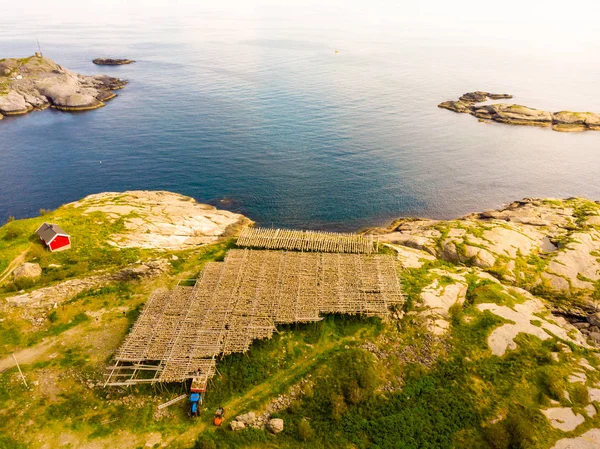 Stokvis van kabeljauw drogen op rekken, eilanden Lofoten Noorwegen — Stockfoto