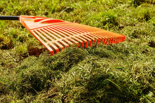 Orangefarbene Harke am Stock zum Sammeln von Gras, Gartengeräten — Stockfoto