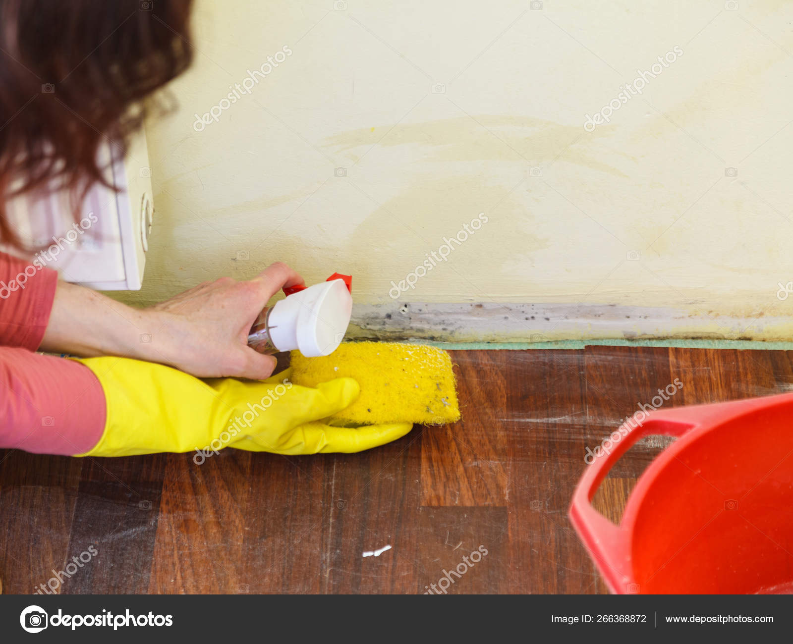 Person washing mold out of wall ⬇ Stock Photo, Image by