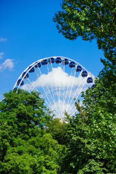 Grande roue derrière les arbres — Photo