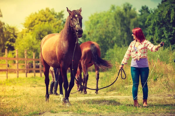 Cowgirl, stojąc obok przyjaciel brązowy koń — Zdjęcie stockowe