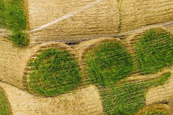 Stacks of sod rolls for new lawn — Stock Photo, Image