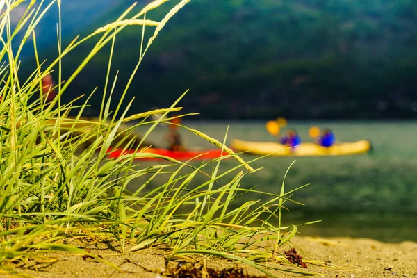 Fjord z ludźmi spływy kajakowe, Flam Norwegia — Zdjęcie stockowe