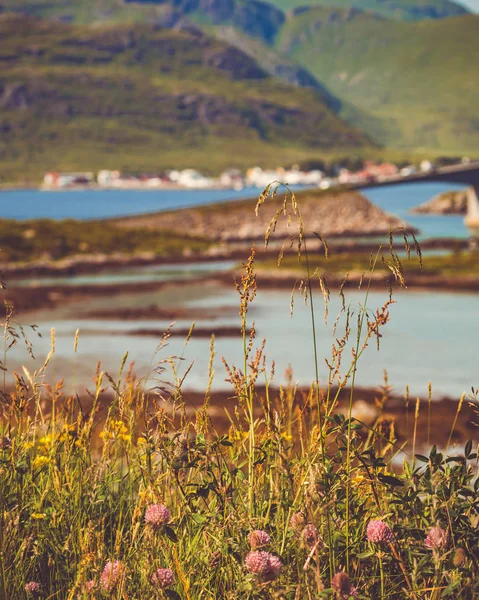 道路や海、ロフォーテン諸島ノルウェーに橋 — ストック写真