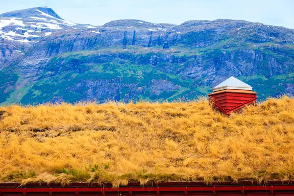 Cabina moderna hytte con erba sul tetto Norvegia — Foto Stock