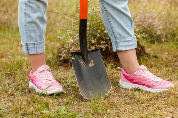 Woman digging hole in garden — Stock Photo, Image