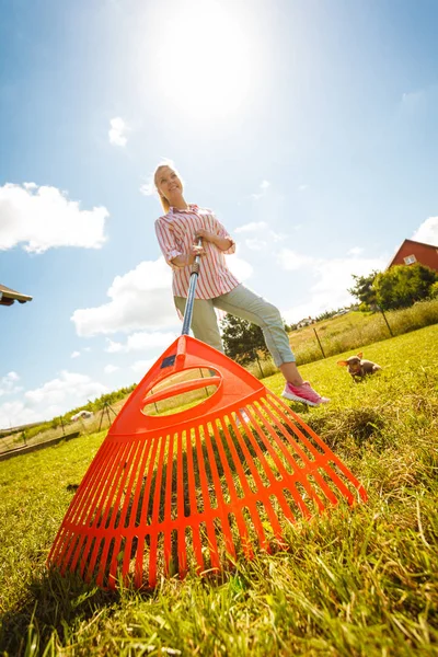 Unusual angle of woman raking leaves