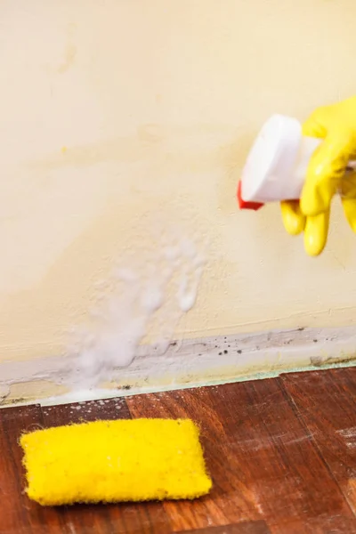 Persona lavando moho fuera de la pared — Foto de Stock