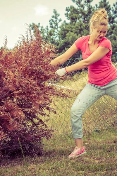 Donna rimozione tirando albero morto — Foto Stock