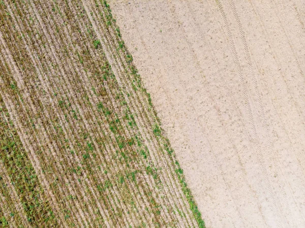 Vue de haut en bas. Champs agricoles . — Photo