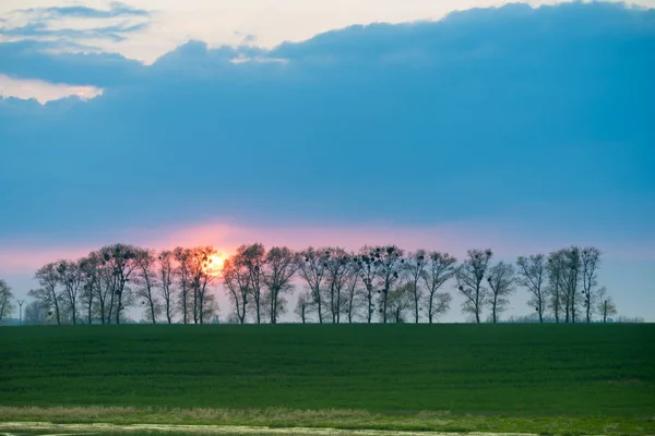 Soleil pendant le coucher du soleil derrière les arbres — Photo