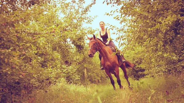 Vrouw jockey opleiding paardrijden paard. Sport activiteiten — Stockfoto