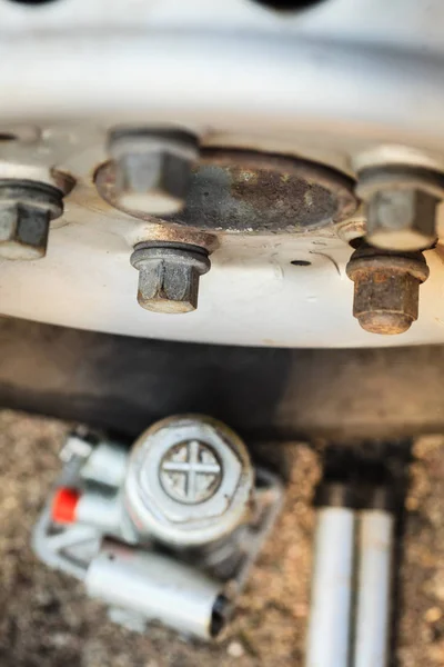 Gato neumático del coche al lado del neumático viejo —  Fotos de Stock