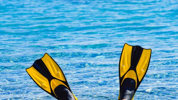 Deniz kıyısında yüzgeçler yüzgeçleri ayaklar — Stok fotoğraf