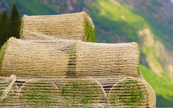 Pilas de rollos de césped para césped nuevo — Foto de Stock