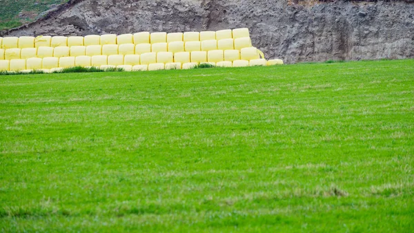 Balle de foin enveloppée dans une feuille de plastique — Photo