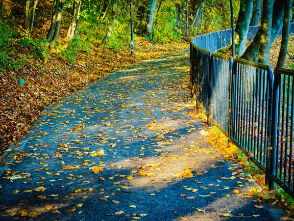 Brücke im Herbstpark — Stockfoto