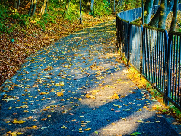 Puente en el parque de otoño — Foto de Stock