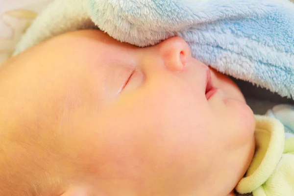 Little newborn baby sleeping calmly in blanket — Stock Photo, Image