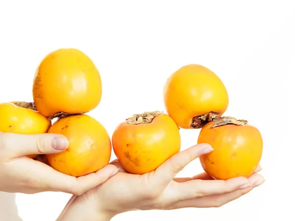 Hand houden persimmon kaki vruchten, geïsoleerd — Stockfoto