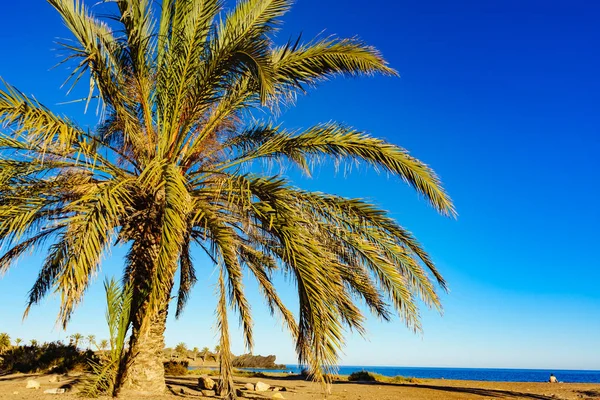 Playa de Percheles, Murcia España — Foto de Stock