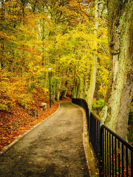 Brücke im Herbstpark — Stockfoto