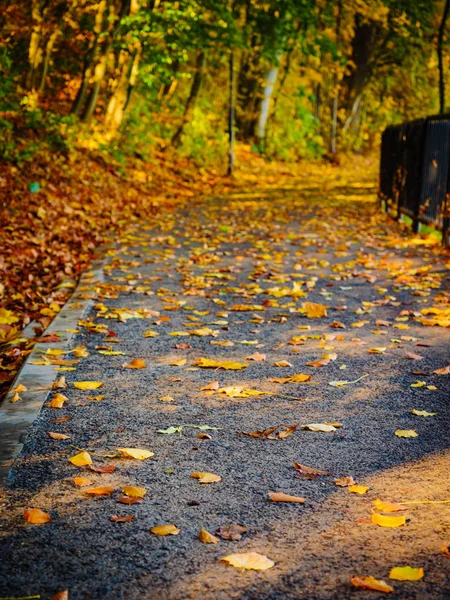Brücke im Herbstpark — Stockfoto
