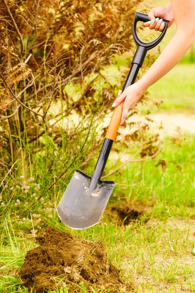Женщина убирает дерево с заднего двора, копая землю лопатой — стоковое фото