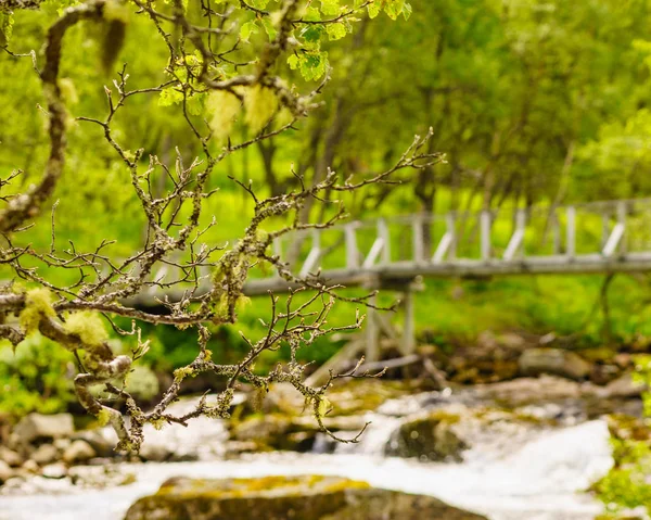 River along the Aurlandsfjellet Norway — Stock Photo, Image