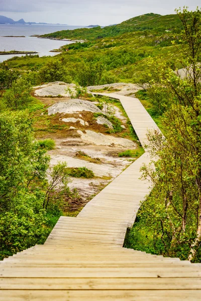 Walkway and fjord landscape, Lofoten Norway — Stock Photo, Image
