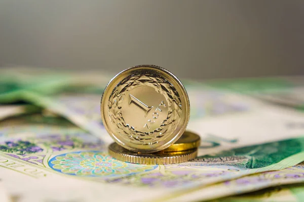 Chiudi le banconote e le monete zloty lucide — Foto Stock