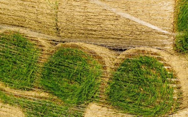 Stapels van sod rollen voor nieuwe gazon — Stockfoto