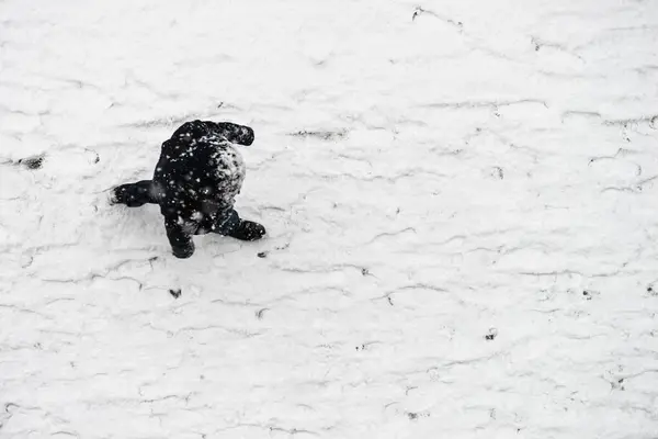 Utsikt från toppen på person som går under vintern — Stockfoto