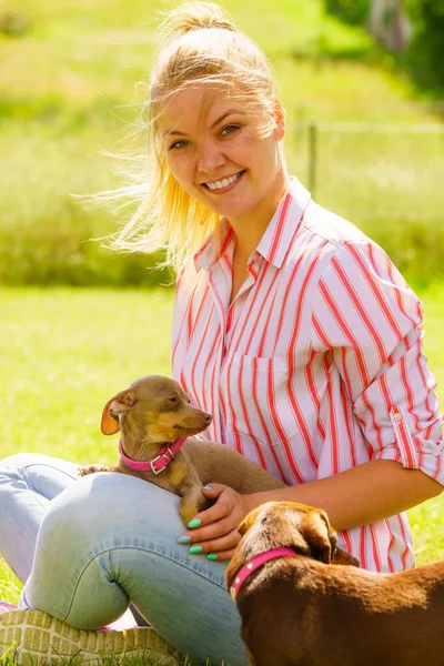 Frau spielt draußen mit kleinen Hunden — Stockfoto