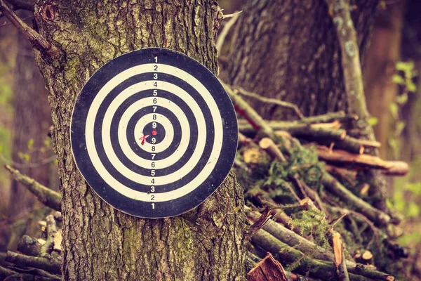 Sportovní Rekreační Koncept Dartboard Červenou Šipkou Visící Stromě Venkovní Rekreace — Stock fotografie