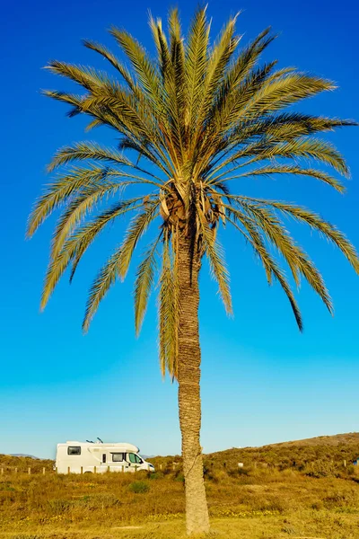 Camper Vehículo Recreativo Costa Mediterránea Con Palmera España Camping Playa — Foto de Stock